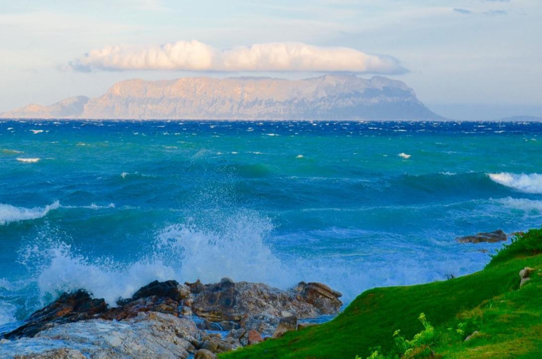 Casavacanza Golfo Aranci Dış mekan fotoğraf