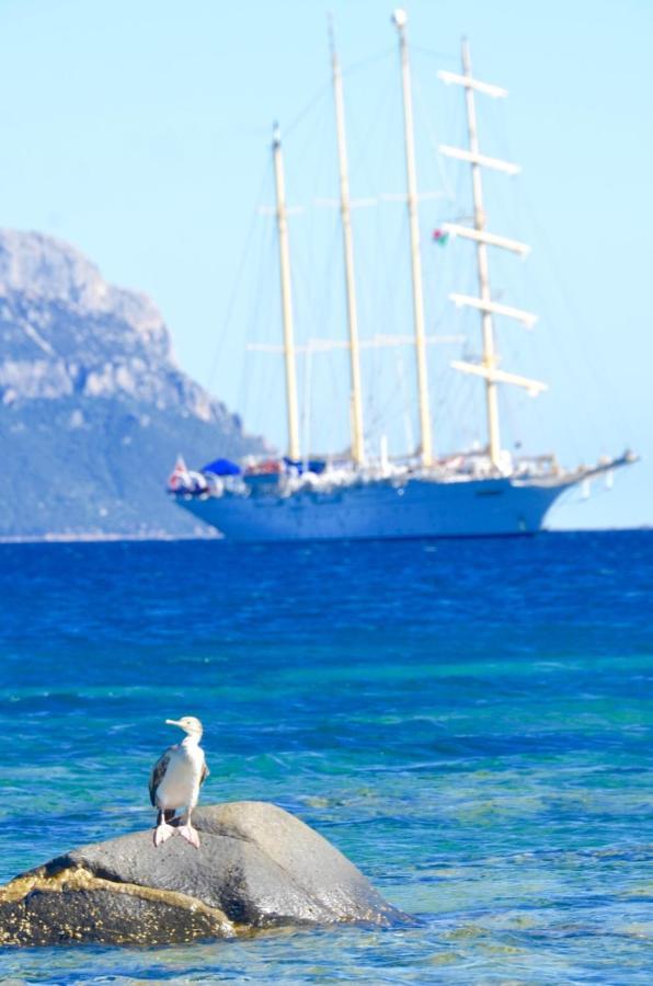 Casavacanza Golfo Aranci Dış mekan fotoğraf