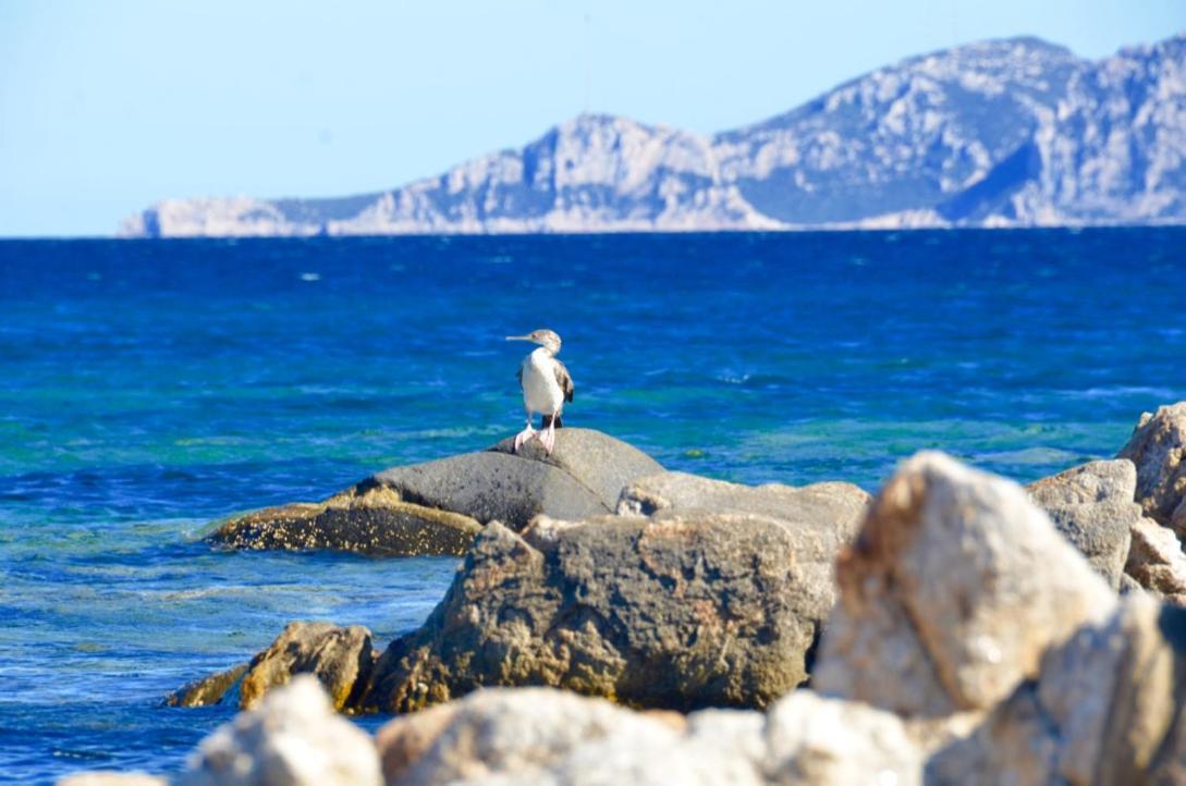 Casavacanza Golfo Aranci Dış mekan fotoğraf