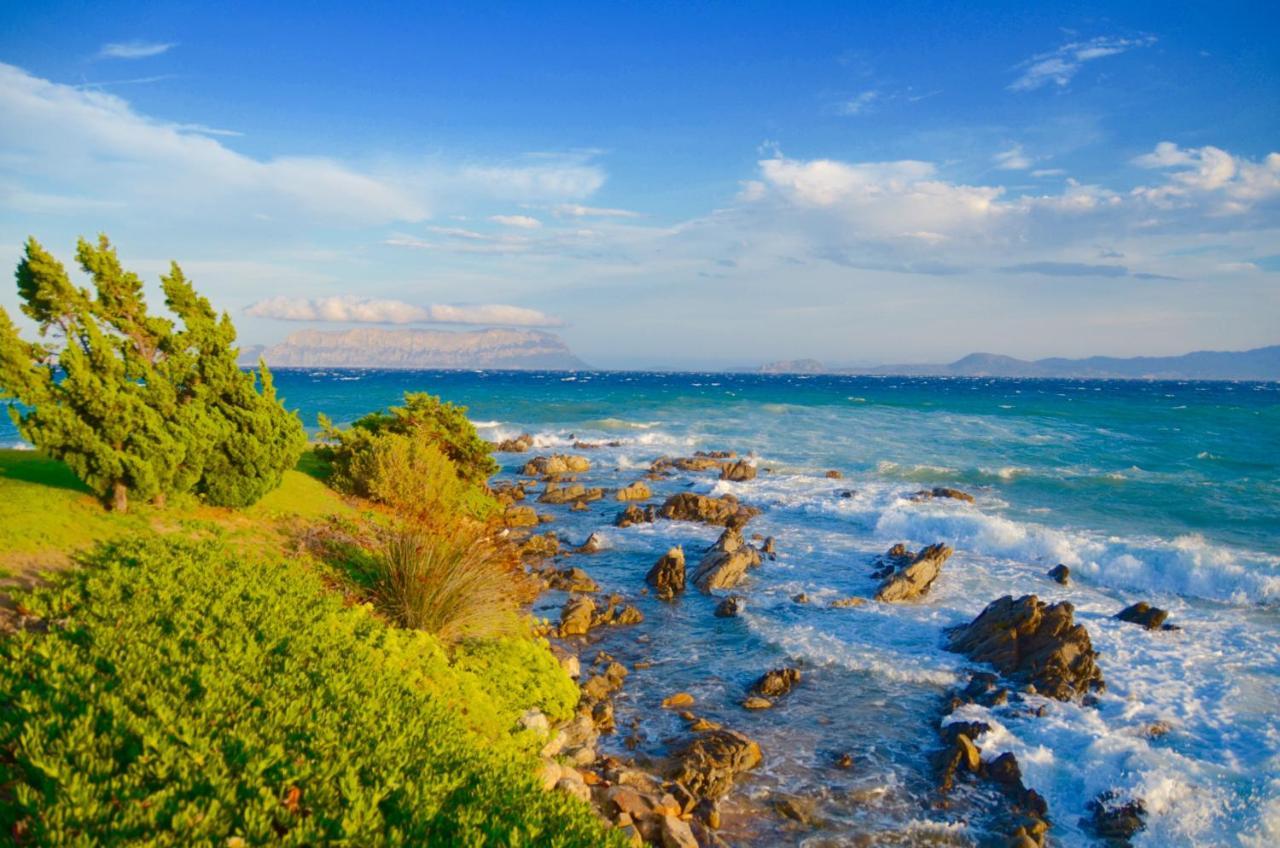 Casavacanza Golfo Aranci Dış mekan fotoğraf