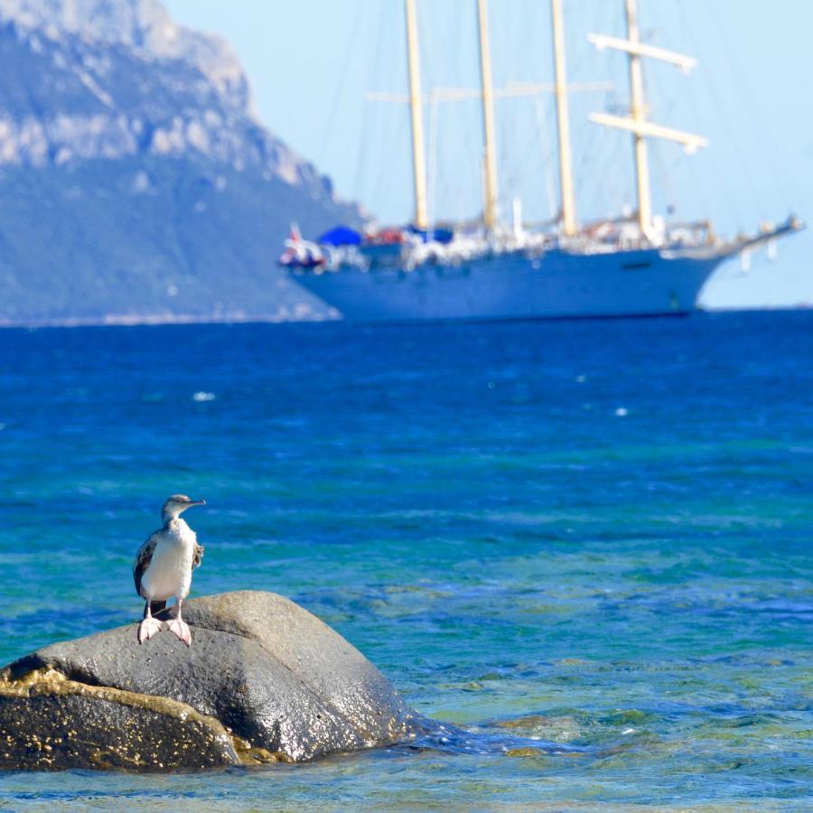 Casavacanza Golfo Aranci Dış mekan fotoğraf