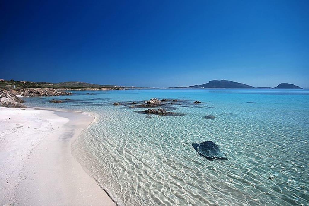 Casavacanza Golfo Aranci Dış mekan fotoğraf
