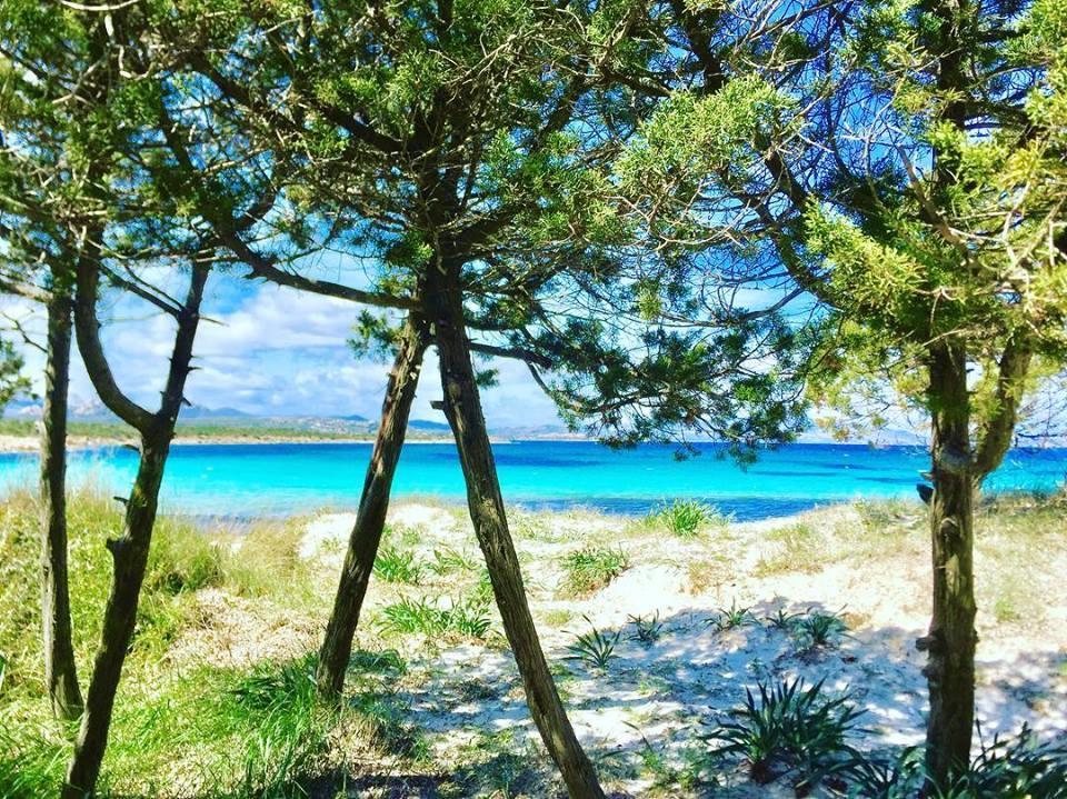 Casavacanza Golfo Aranci Dış mekan fotoğraf